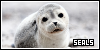 Seals: 
