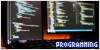  Computer Programming
