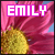  Emily (Name)