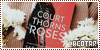 Book: A Court of Thorns and Roses -  Sarah J. Maas