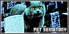 Book: Pet Sematary - Stephen King