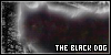  The Black Dog