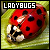 Lady Bugs