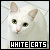 Cats: White