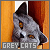 Cats: Grey