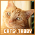 Cats: Tabby