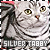 Cats: Silver Tabby