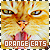 Cats: Orange/Red