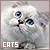 Pets: Cats