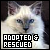 Cats: Adopted and Rescued