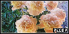 Peony