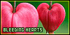 Bleeding Heart