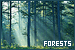 Forests